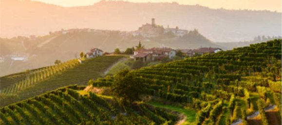 3-Zimmer Wohnung in Asti, Italy, Nr. 283207 22