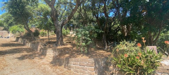 Casa de 6 habitaciónes en Cerveteri, Italy No. 202119 37