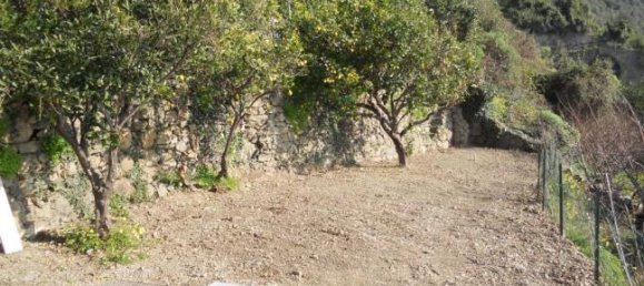 Квартира с 1 спальней в Вернацца, Италия № 253597 7