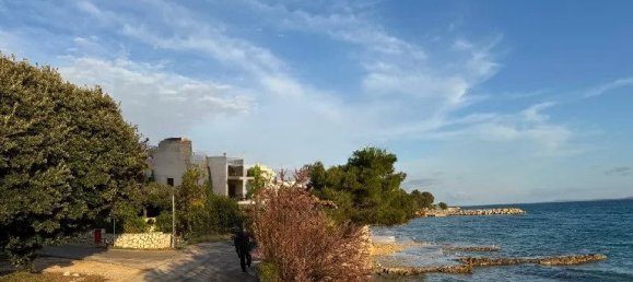 1 bedroom Apartment in Mandre, Croatia No. 185 3