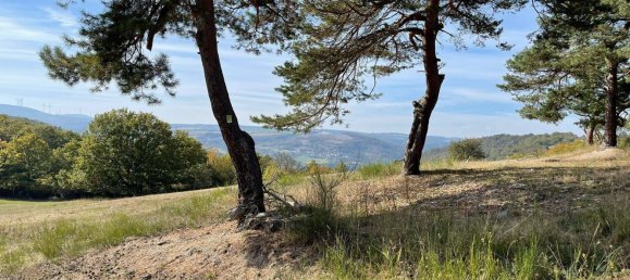 Здание с 12 комнатами в Райнгау-Таунус, Германия № 172543 49