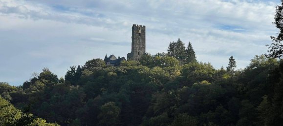 Здание с 12 комнатами в Райнгау-Таунус, Германия № 172543 48