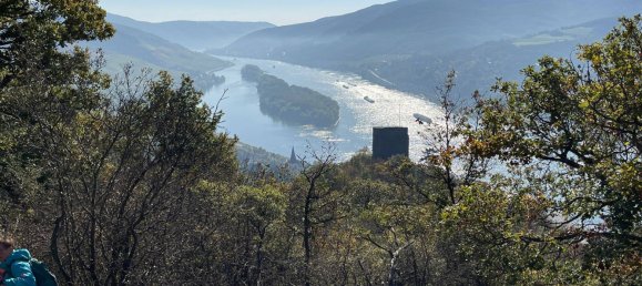 Здание с 12 комнатами в Райнгау-Таунус, Германия № 172543 47