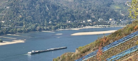 Здание с 12 комнатами в Райнгау-Таунус, Германия № 172543 45