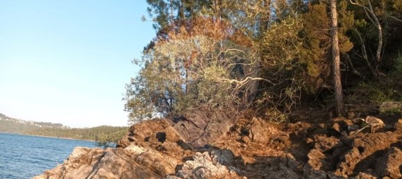 Земельный участок 2640м² в Томар, Португалия № 71264 3