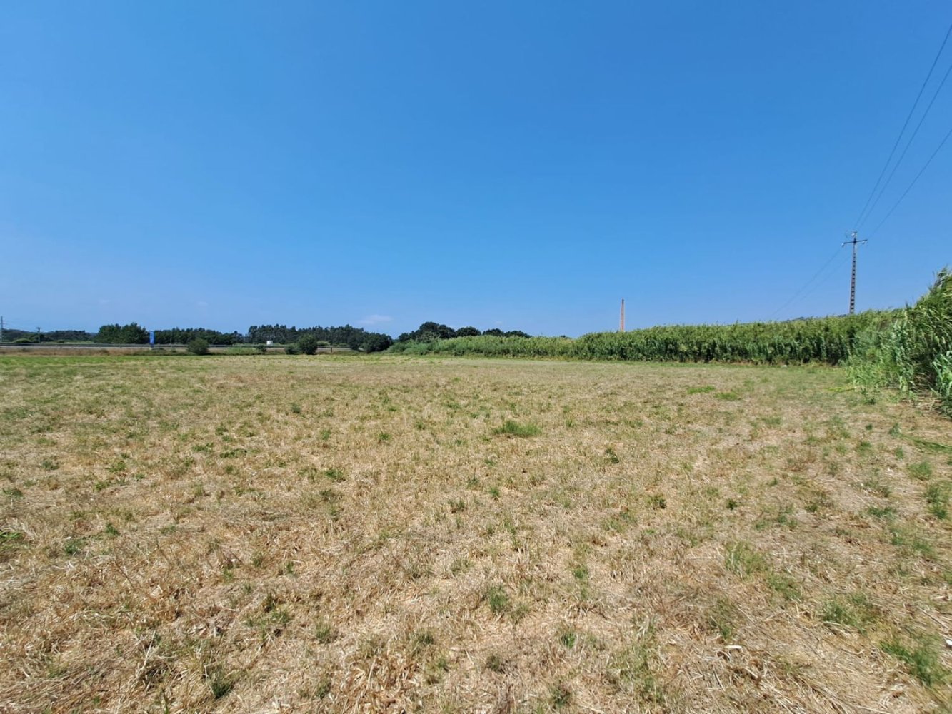 Grundstück in Caldas da Rainha, Portugal, Nr. 311037