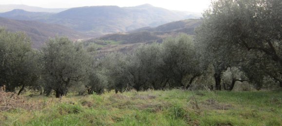 5 bedrooms House in Molise, Italy No. 312531 19