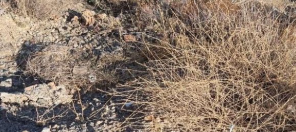  Land in Coin, Spain No. 155798 12