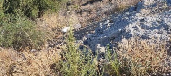  Land in Coin, Spain No. 155798 3