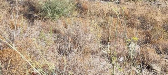  Land in Coin, Spain No. 155798 9