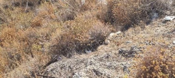  Land in Coin, Spain No. 155798 4