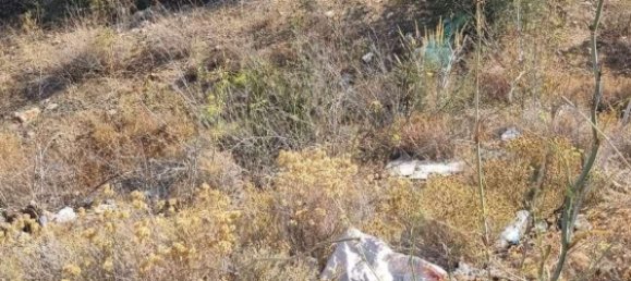  Land in Coin, Spain No. 155798 11