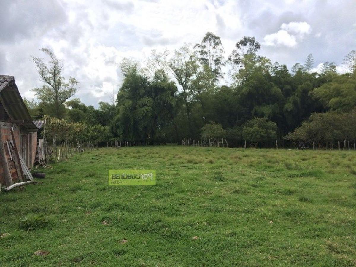  Land in Antioquia, Colombia No. 515