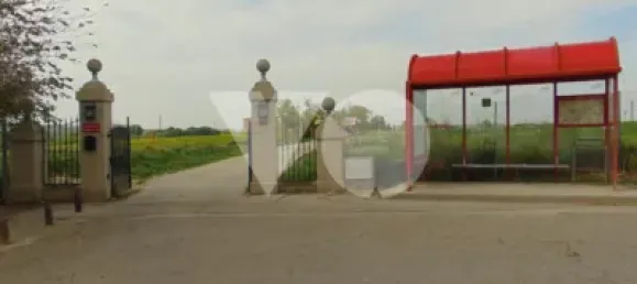 5 bedrooms House in Torrejon de Ardoz, Spain No. 161511 40