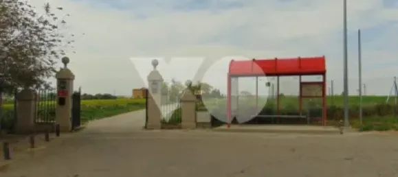 5 bedrooms House in Torrejon de Ardoz, Spain No. 161511 39