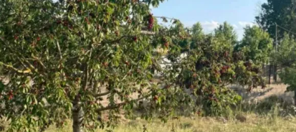 Terreno en Les Borges Blanques, Spain 4800 m² No. 145349 3