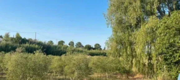 Terreno en Les Borges Blanques, Spain 4800 m² No. 145349 5