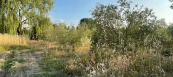 Terreno en Les Borges Blanques, Spain 4800 m² No. 145349 10