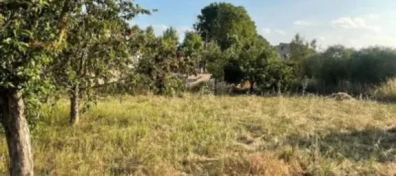 Terreno en Les Borges Blanques, Spain 4800 m² No. 145349 2