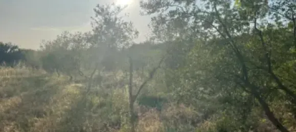 Terreno en Les Borges Blanques, Spain 4800 m² No. 145349 8