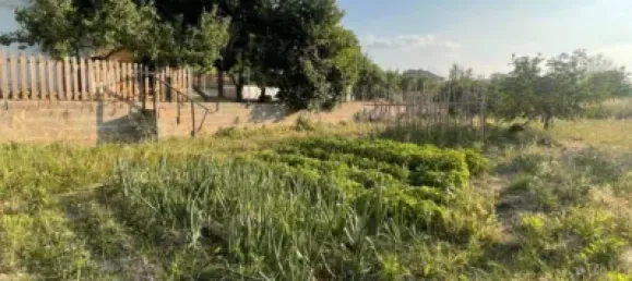 Terreno en Les Borges Blanques, Spain 4800 m² No. 145349 7