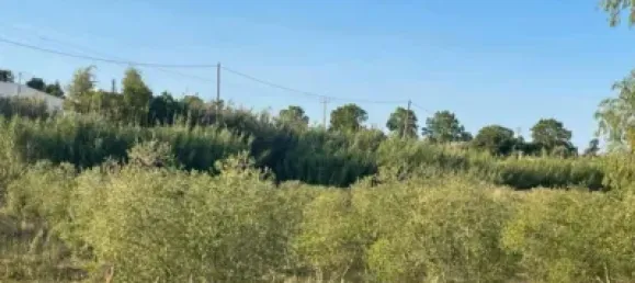 Terreno en Les Borges Blanques, Spain 4800 m² No. 145349 4