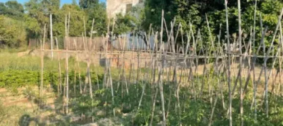 Terreno en Les Borges Blanques, Spain 4800 m² No. 145349 6