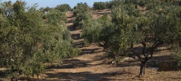 فندق في Euboea, Greece 38000متر مربع رقم 4282 4