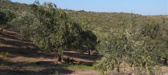 فندق في Euboea, Greece 38000متر مربع رقم 4282 7