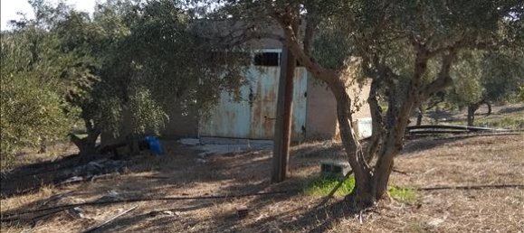 فندق في Euboea, Greece 38000متر مربع رقم 4282 8