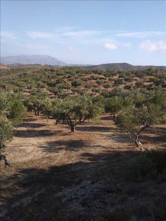  فندق في Euboea, Greece 38000متر مربع رقم 4282