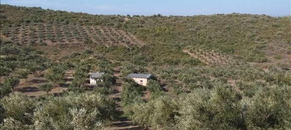 فندق في Euboea, Greece 38000متر مربع رقم 4282 3