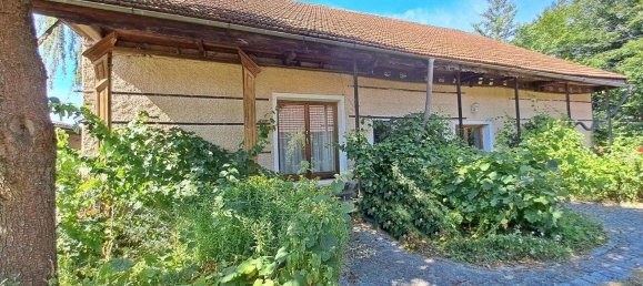 4-Zimmer Gewerbliche Immobilie in Neumarkt im Hausruckkreis, Austria, Nr. 79489 20