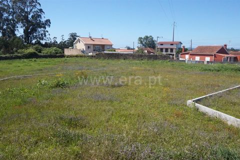 Terrain à Barcelos, Portugal No. 202253