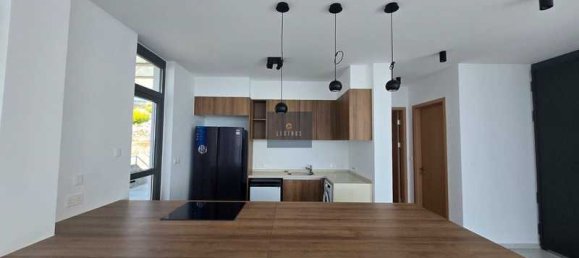 Propiedad comercial de 2 dormitorios en Pegeia, Cyprus No. 82388 14