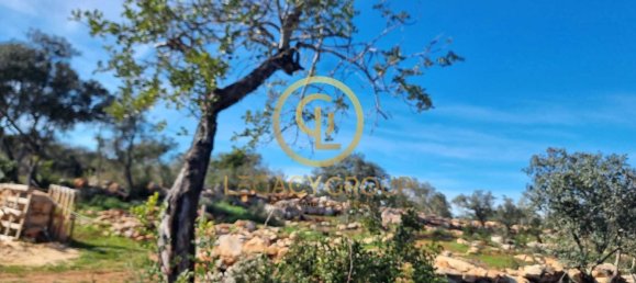 Grundstück in Loule, Portugal 9500m², Nr. 80185 3