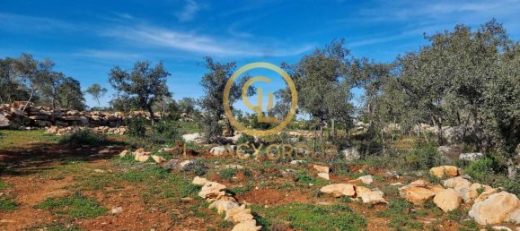 Grundstück in Loule, Portugal 9500m², Nr. 80185 9