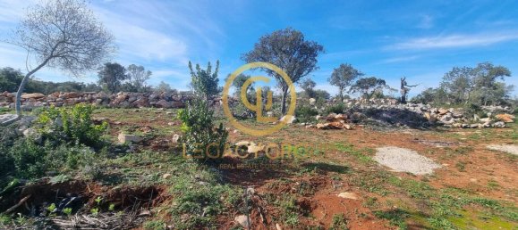 Grundstück in Loule, Portugal 9500m², Nr. 80185 15