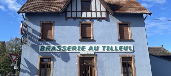 Propriété commerciale à Artolsheim, France 250m² No. 224024 21