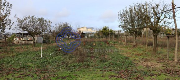 3 chambres Maison à Penafiel, Portugal No. 54990 31
