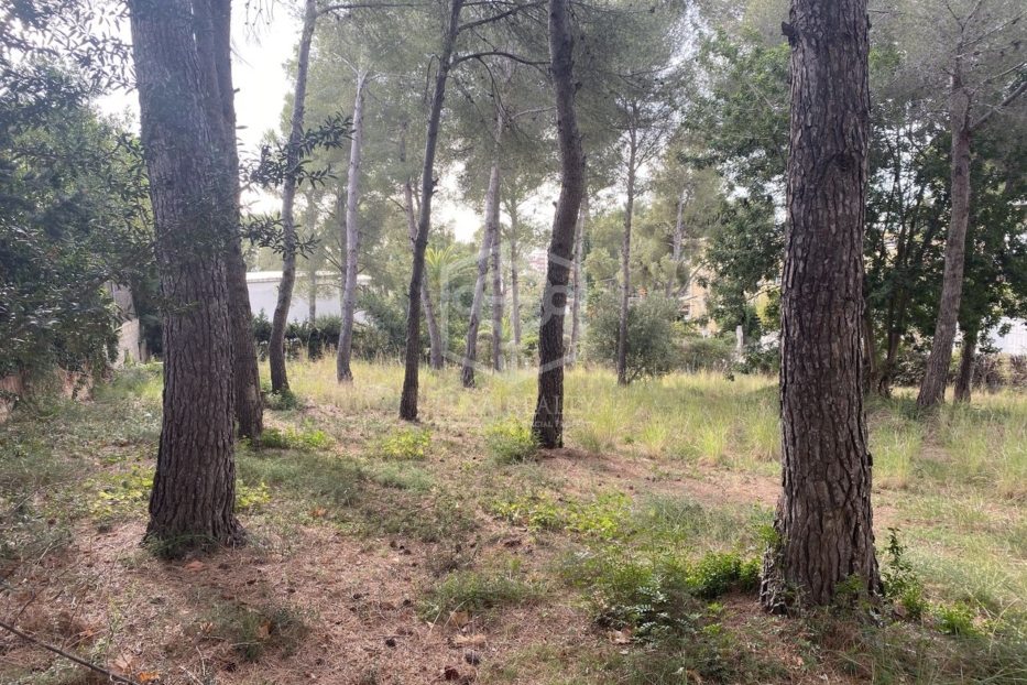  Land in Calafell, Spain No. 7456