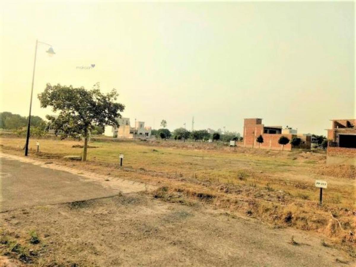  قطعة أرض في Mohali, India رقم 31352