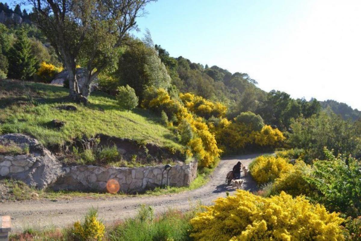 Terrain à Neuquen, Argentina No. 37826