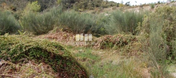 1700m² Land in Marco de Canaveses, Portugal No. 59386 6