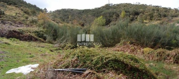 1700m² Land in Marco de Canaveses, Portugal No. 59386 3