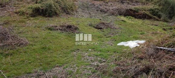 1700m² Land in Marco de Canaveses, Portugal No. 59386 5