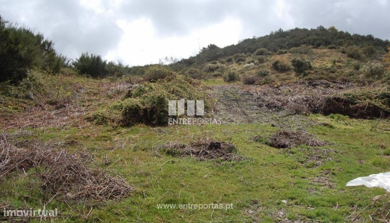 1700m² Land in Marco de Canaveses, Portugal No. 59386