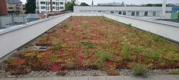 1080m² Building in Stuttgart, Germany No. 361855 7