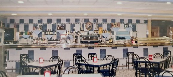  عقار تجاري في Salinas, Spain 1104متر مربع رقم 97429 12