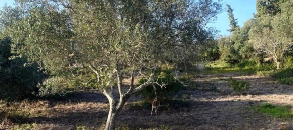  Land in Faro, Portugal No. 157236 8